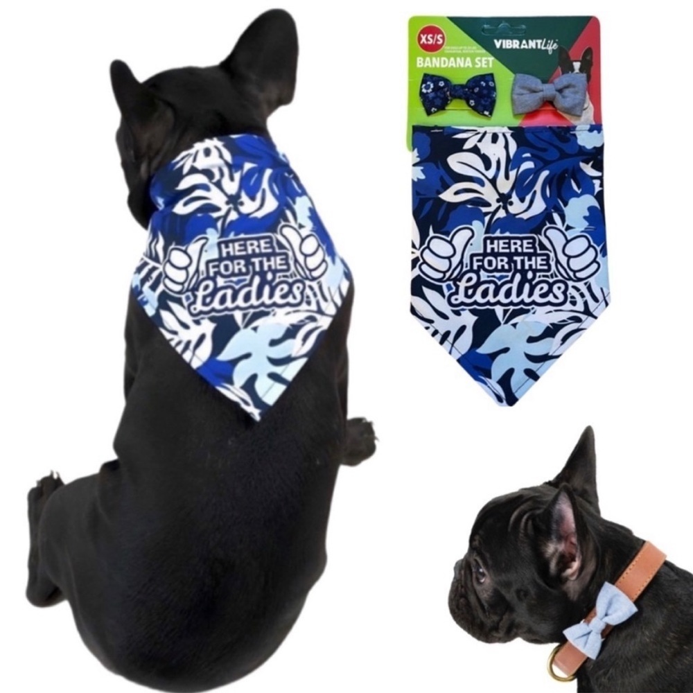 Vibrant Life Dog “Here For The Ladies” Bandana Set